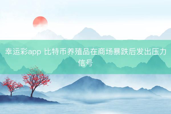 幸运彩app 比特币养殖品在商场暴跌后发出压力信号
