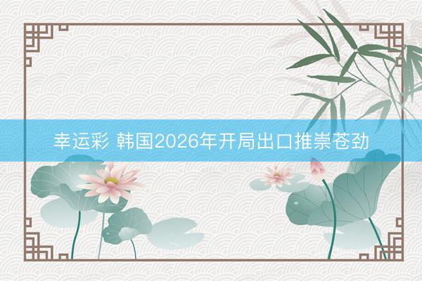 幸运彩 韩国2026年开局出口推崇苍劲