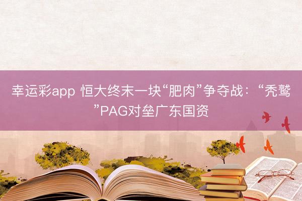 幸运彩app 恒大终末一块“肥肉”争夺战：“秃鹫”PAG对垒广东国资