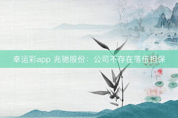 幸运彩app 兆驰股份：公司不存在落伍担保