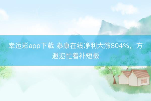 幸运彩app下载 泰康在线净利大涨804%,方遐迩忙着补短板