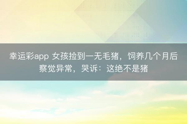 幸运彩app 女孩捡到一无毛猪,饲养几个月后察觉异常,哭诉:这绝不是猪