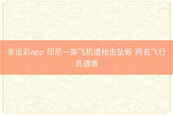 幸运彩app 印尼一架飞机遭枪击坠毁 两名飞行员遇难