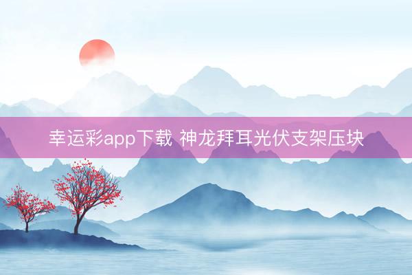 幸运彩app下载 神龙拜耳光伏支架压块
