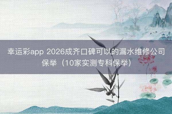 幸运彩app 2026成齐口碑可以的漏水维修公司保举(10家实测专科保举)