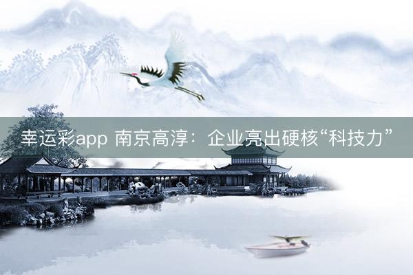 幸运彩app 南京高淳:企业亮出硬核“科技力”