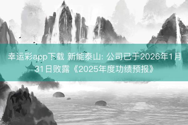 幸运彩app下载 新能泰山: 公司已于2026年1月31日败露《2025年度功绩预报》