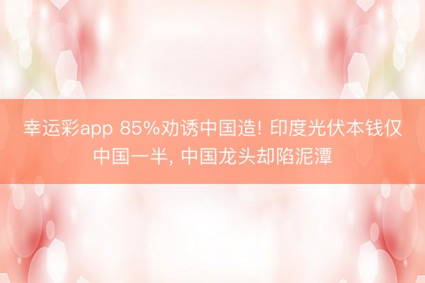 幸运彩app 85%劝诱中国造! 印度光伏本钱仅中国一半， 中国龙头却陷泥潭