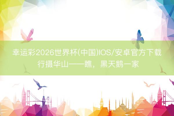 幸运彩2026世界杯(中国)IOS/安卓官方下载 行摄华山——瞧，黑天鹅一家
